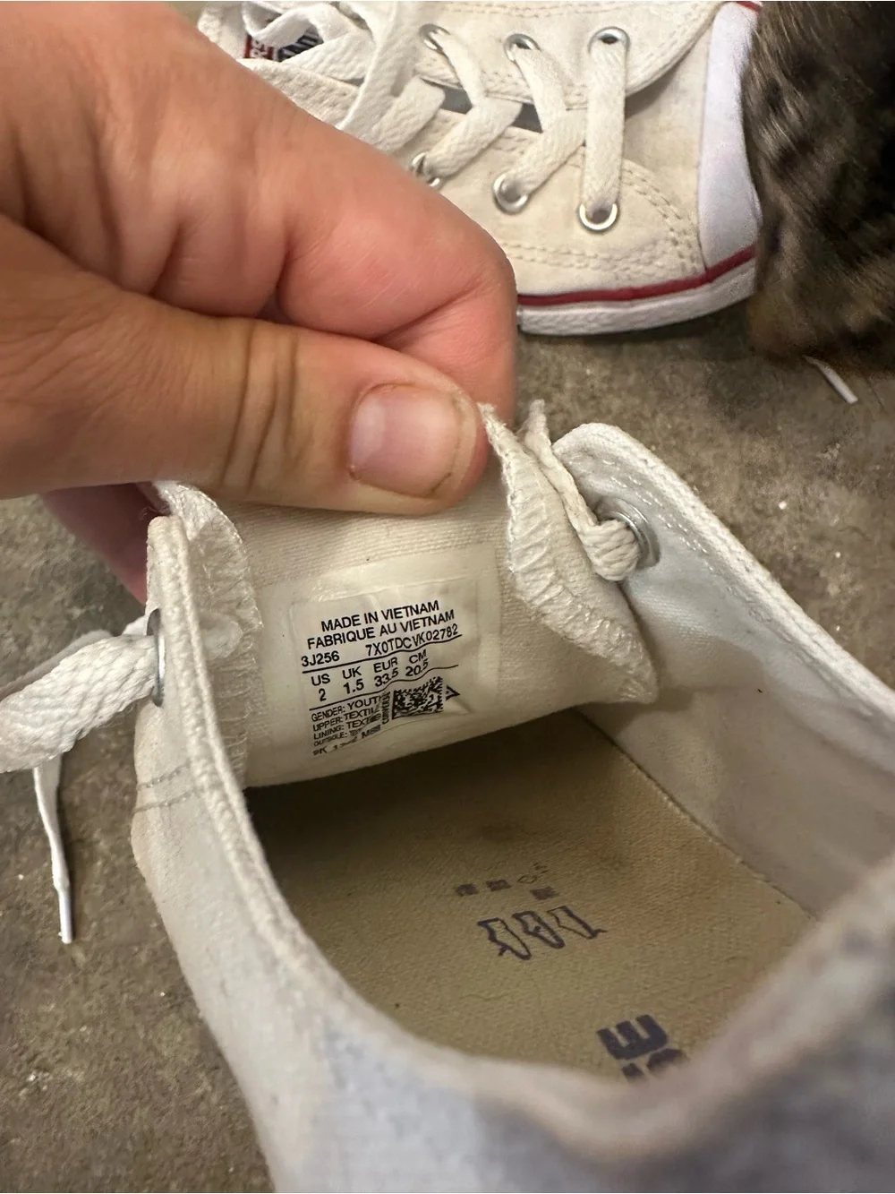Youth low cut converse